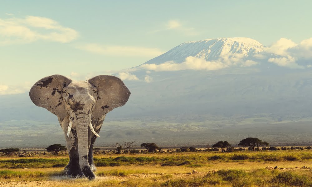VIAGGIO CON CATE: La Tanzania delle savane, dei laghi, degli uomini